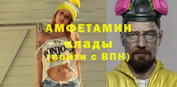 индика Тавда