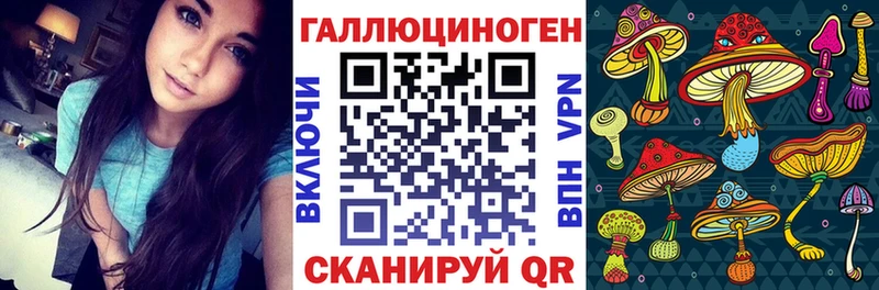 Галлюциногенные грибы прущие грибы  Гудермес 