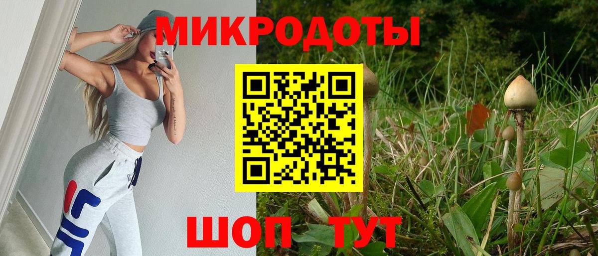 Галлюциногенные грибы прущие грибы Гудермес