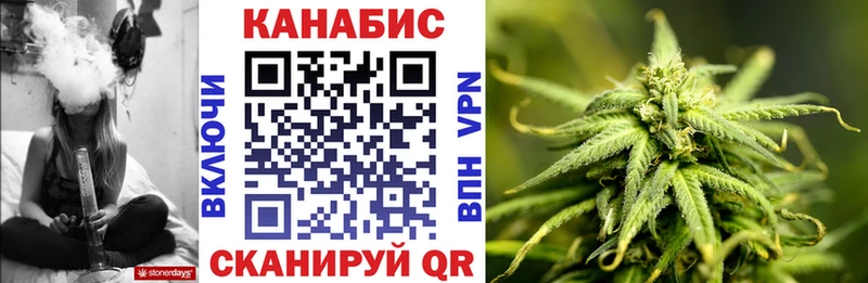 Шишки марихуана семена  Гудермес 